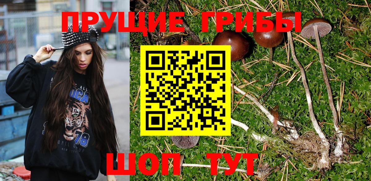 Галлюциногенные грибы Psilocybine cubensis  Вход с VPN  Верхняя Салда  Галлюциногенные грибы прущие грибы 